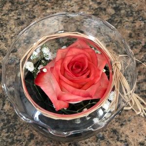 Meet your Posher, Deasy